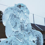 ice sculptures